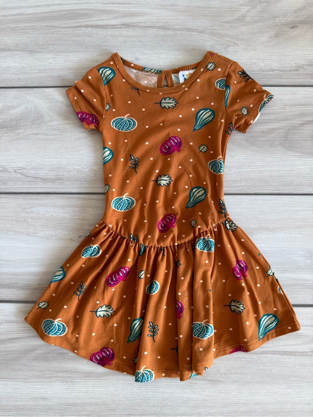 Dot Dot Smile Fall Theme Dress Orange 2T NWT